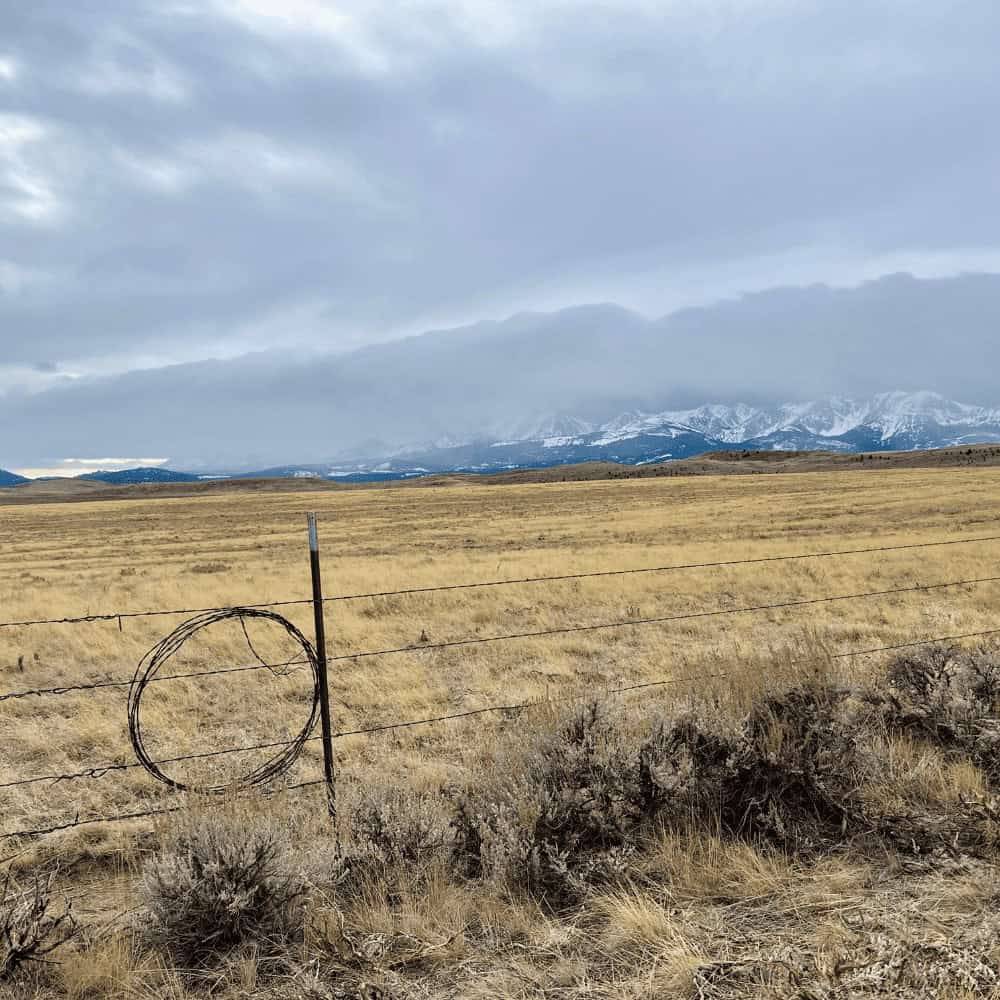 Montana property representing real estate contract review services