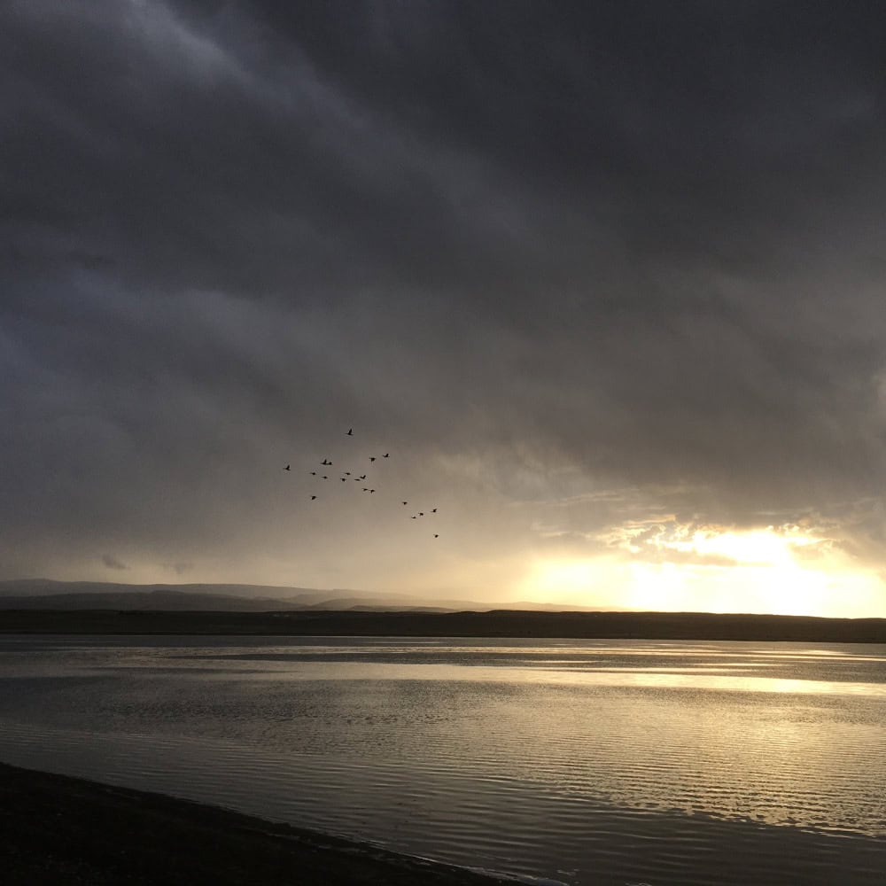 Avant Courier Building on Main Street, Bozeman Montana — home of CD Meyer Law Firm